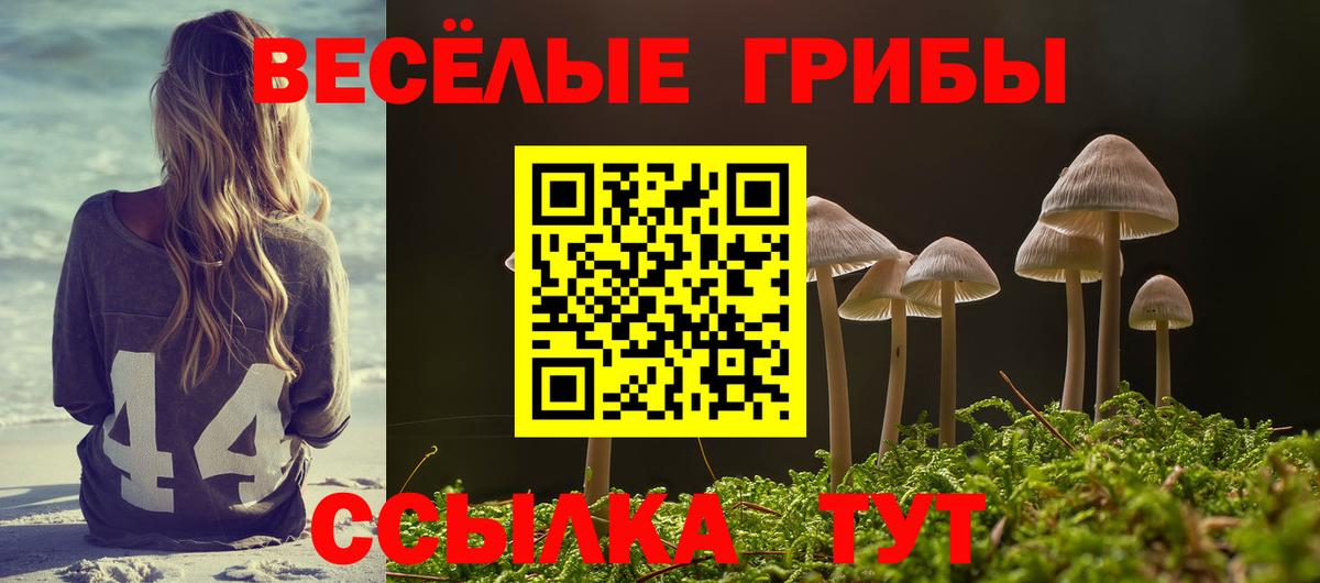 Галлюциногенные грибы Cubensis  магазин  наркотиков  Похвистнево  Вход с VPN 